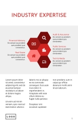 Free broschüren – it consulting template