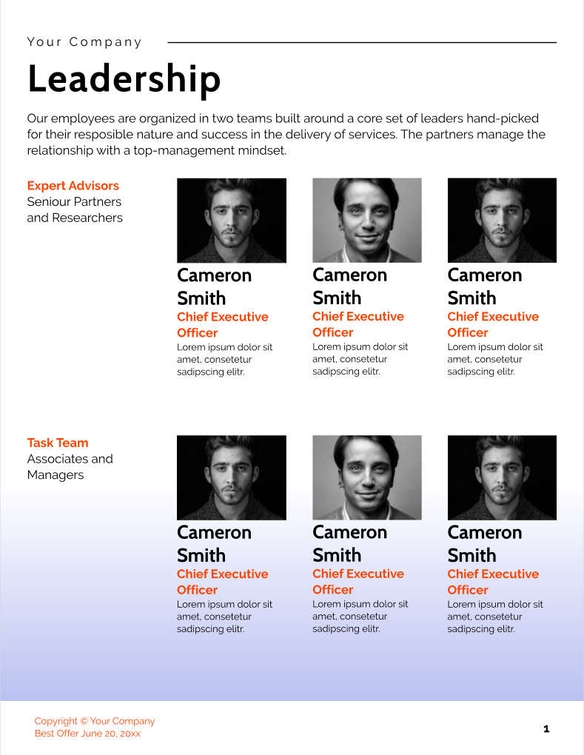 Free angebote & proposal  digital consulting template