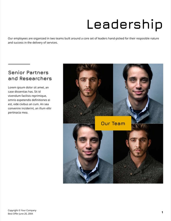 Free angebote & proposal  hr strategy template