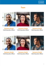 Free angebote & proposal  project template