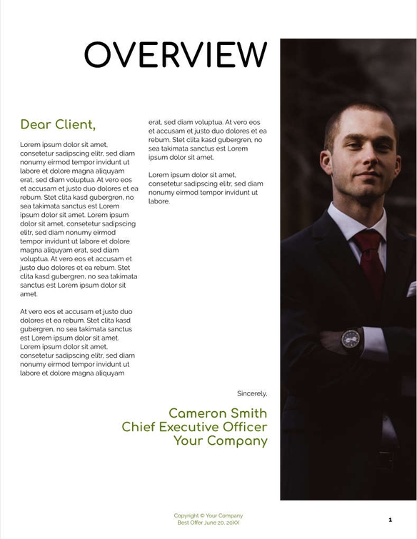 Free angebote & proposal  social media strategy template